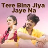 About Tere Bina Jiya Jaye Na Song